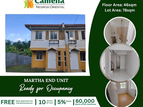 dumaguete apartments|Negros Oriental Properties for Sale .